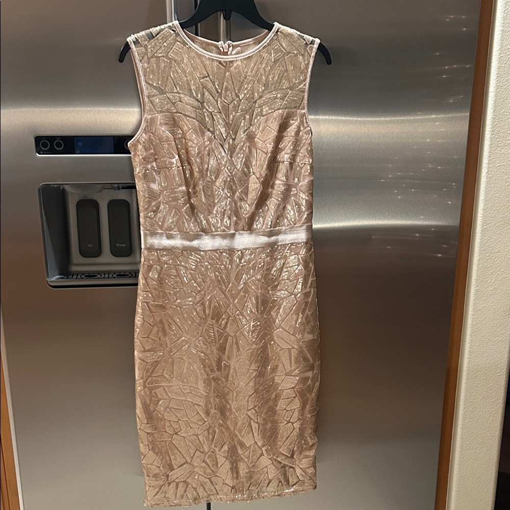 Tadashi Shoji Shimmering Beige Midi Dress